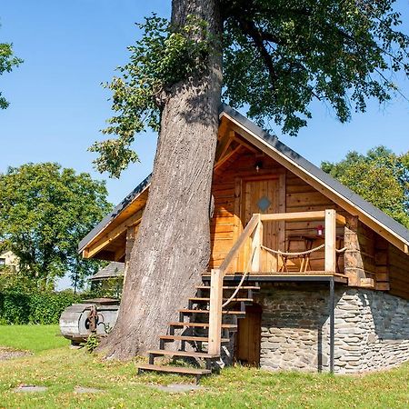 Апартаменты Gniazdko Pod Lipa Андрыхув Экстерьер фото