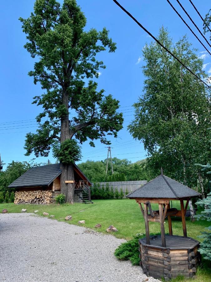 Апартаменты Gniazdko Pod Lipa Андрыхув Экстерьер фото
