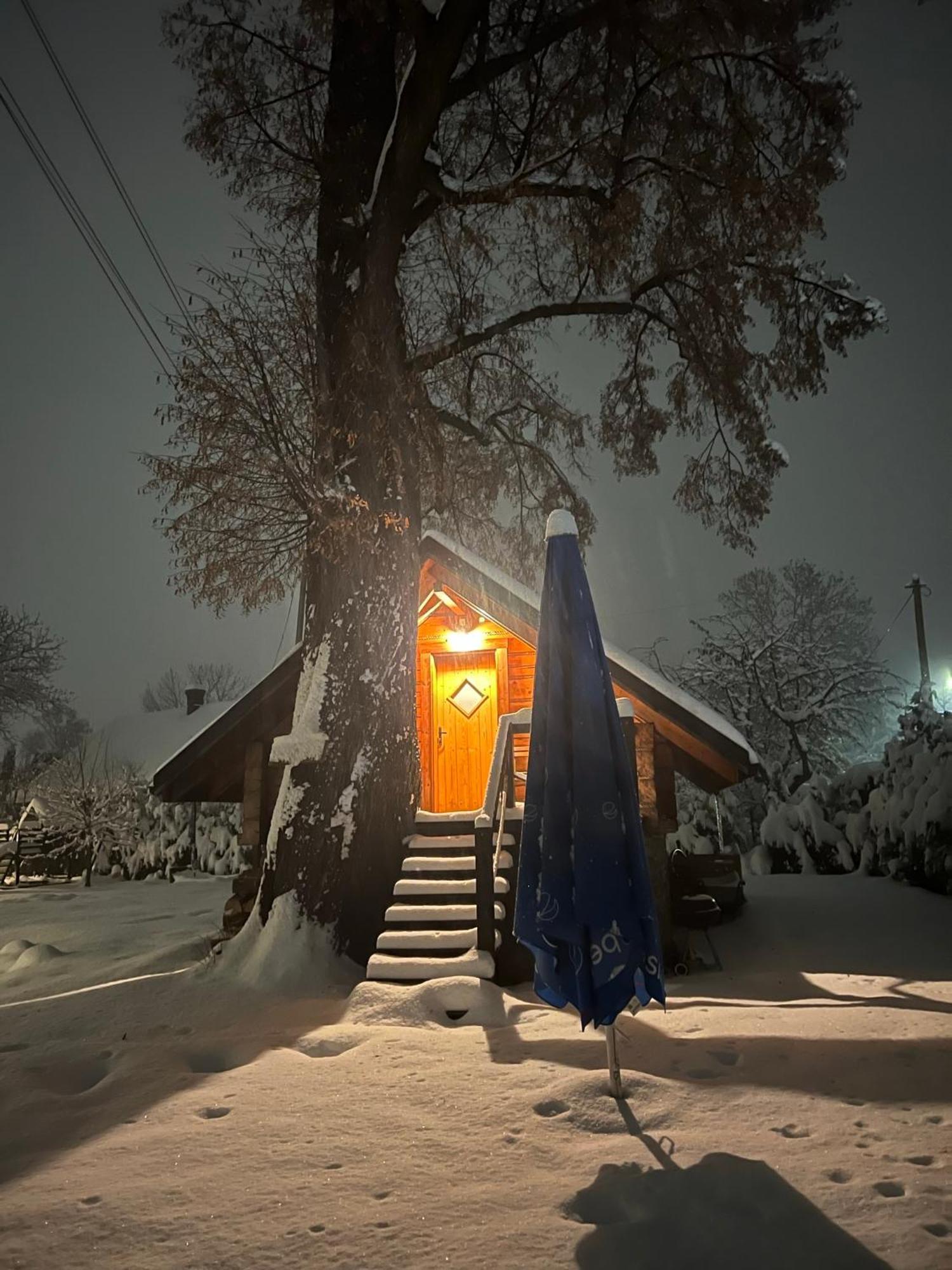 Апартаменты Gniazdko Pod Lipa Андрыхув Экстерьер фото