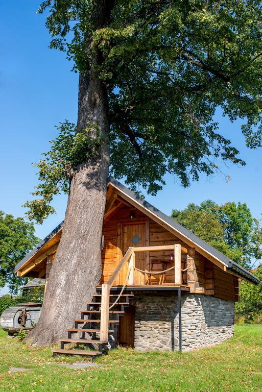 Апартаменты Gniazdko Pod Lipa Андрыхув Экстерьер фото
