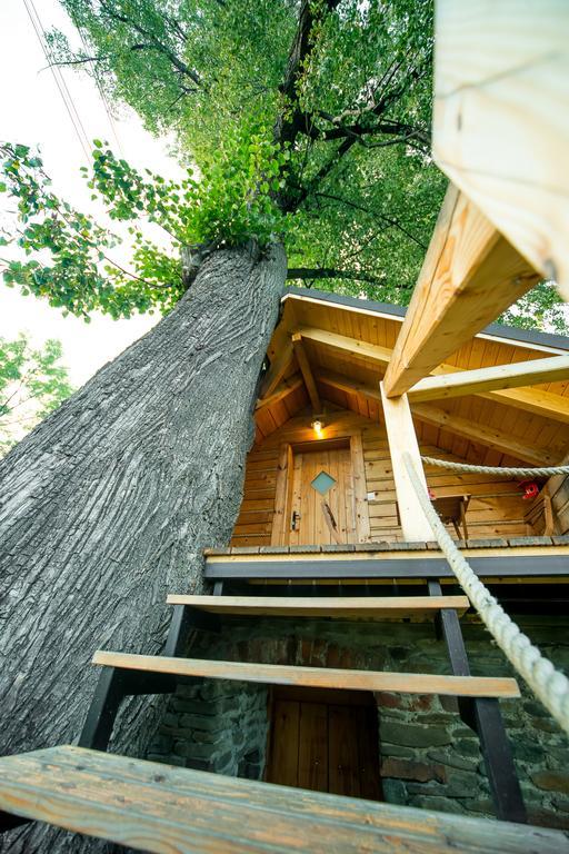 Апартаменты Gniazdko Pod Lipa Андрыхув Экстерьер фото