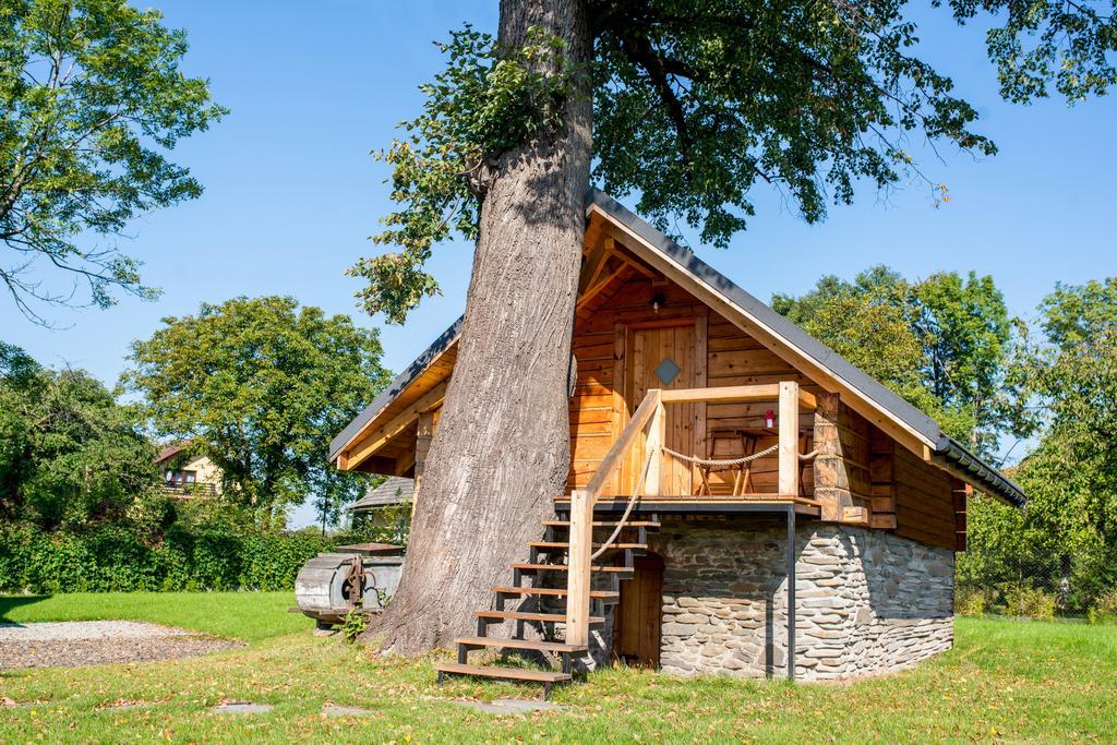 Апартаменты Gniazdko Pod Lipa Андрыхув Экстерьер фото