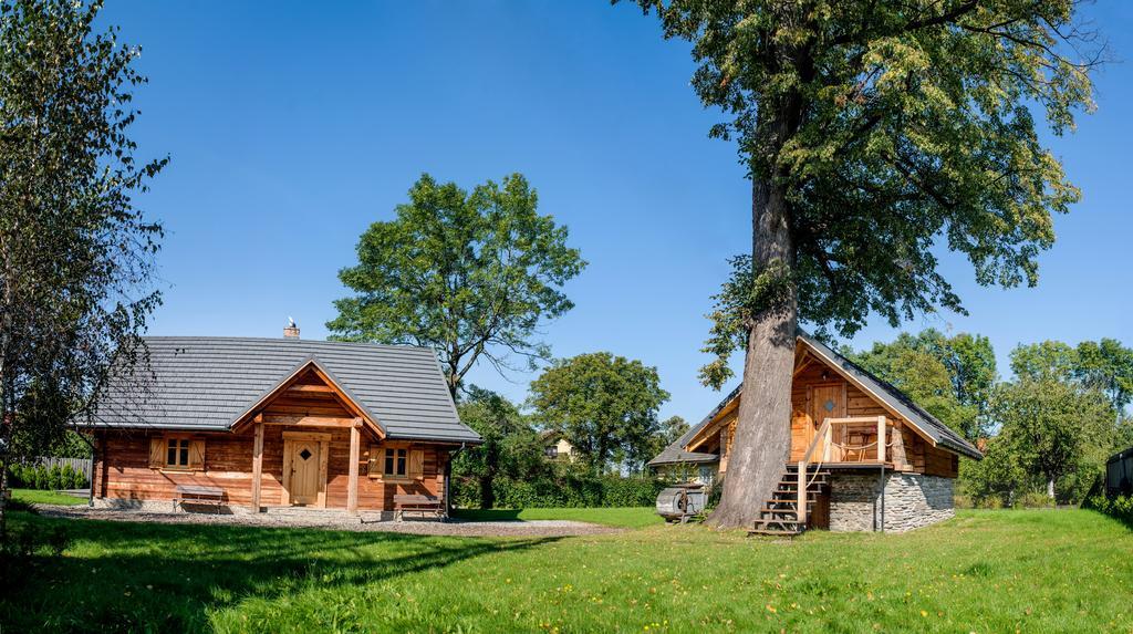 Апартаменты Gniazdko Pod Lipa Андрыхув Экстерьер фото